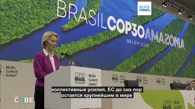 Проверка фактов: Вырубила ли Бразилия 100 000 деревьев для COP30?