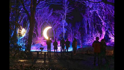 Lost Gardens of Heligan Night Garden 2025