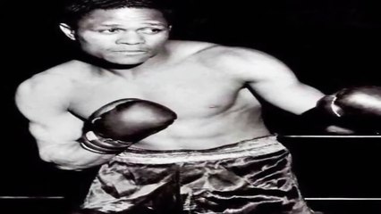 Lloyd Marshall - Highlights & Knockouts (haNZAgod)