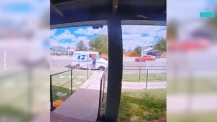 Dog Chases Mailman After Busting Through Screen Door