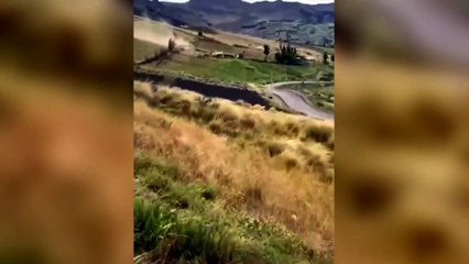 Tragedia en Ecuador: al menos 21 muertos y 40 heridos tras la caída de un autobús por una ladera
