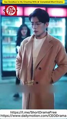 Say Goodbye to My Cheating Wife - Not Recalling the Past, You and I Are But Light and Shadows 💕 Completed Short