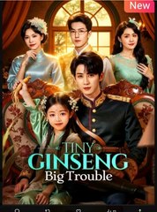 Tiny Ginseng Big Trouble Chinese Drama English Sub