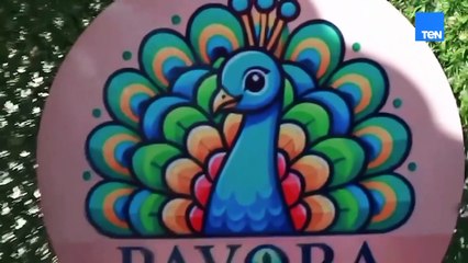 Pavora International Nursery & Preschool حضانة تلبي كل احتياجات طفلك وإنتي متطمنة