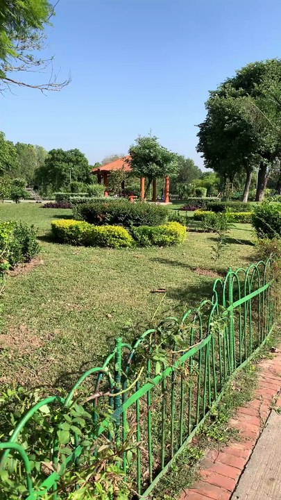 Garden Area