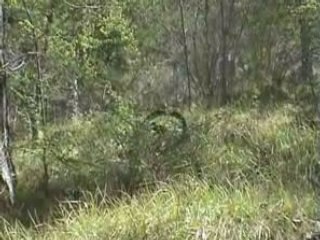 VTT une "belle" descente