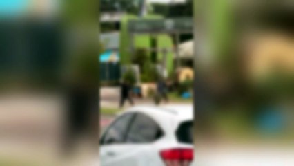 Brigões armam confusão com pedaço de ferro e pedras que ‘para’ Avenida Comendador Franco, em Curitiba 