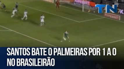 Santos bate o Palmeiras por 1 a 0 no Brasileirão