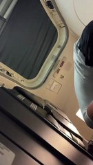 Homem com autorização judicial é impedido de viajar com cão de apoio