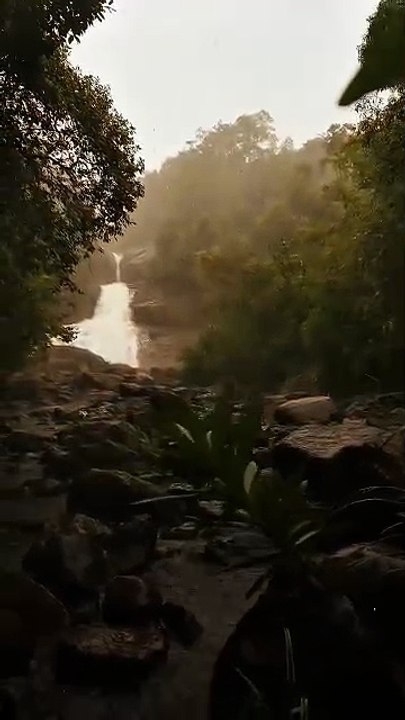 VID-2025 view