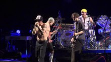 If You Have to Ask - Red Hot Chilli Peppers (live)