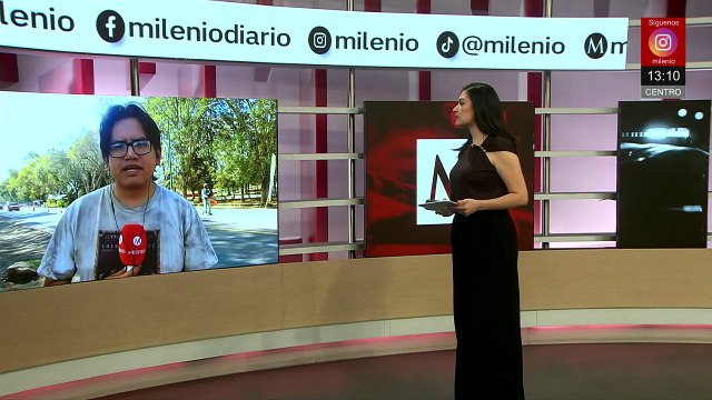 Bloqueos y enfrentamientos en Michoacán dejan dos presuntos delincuentes abatidos