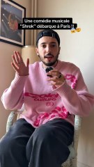 Une comédie musicale Shrek débarque à Paris 😱