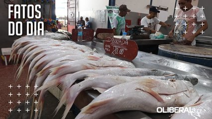 Alta no preço dos pescados de Belém em novembro surpreende vendedores do Ver-O-Peso