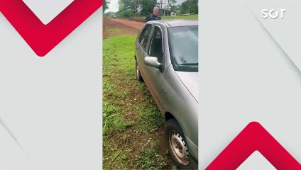 Cão é resgatado após ficar preso no compartimento de motor de carro na área rural de Cascavel