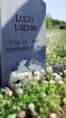 I Married Her as a Joke... Until I Saw Her Crying #romantic