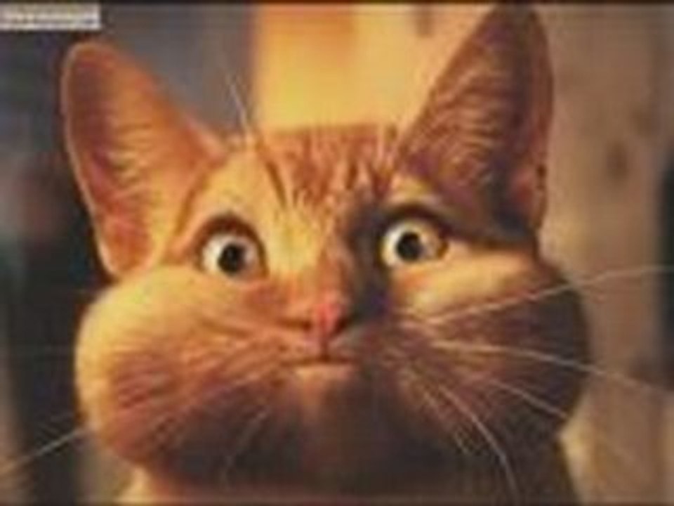 Chat3