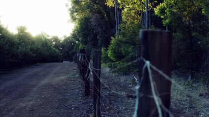 A couple in love becomes the trapped prey of a mysterious stalker - Full Horror Movie in English