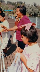 El bosque a través del tiempo