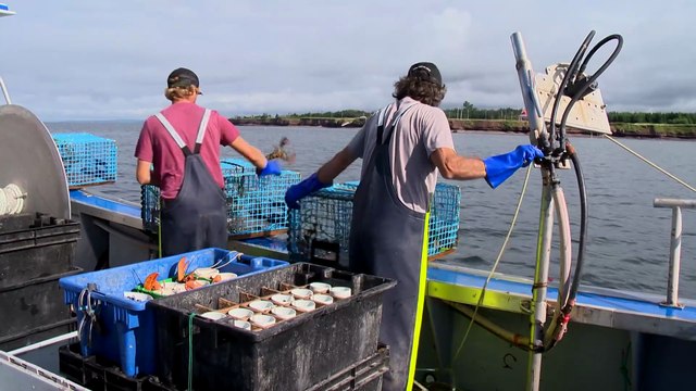 Assurance-emploi : Les travailleurs saisonniers veulent se faire entendre