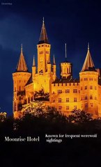 Forbidden Desire - Alpha's Love - dailymotion