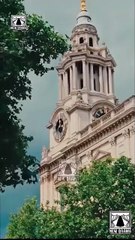 After I Gave Lost Billionaire Mouth To Mouth Full Movies English Sub