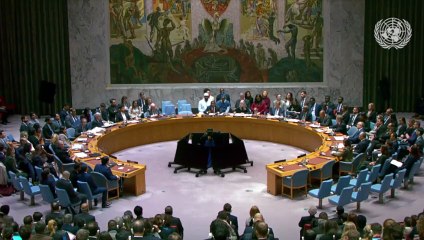 El Consejo de Seguridad de la ONU aprueba el plan de paz de Trump para Gaza