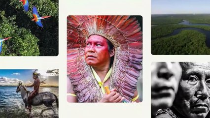 COP30: Alckmin propõe metas ambiciosas para energia e fim do desmatamento ilegal