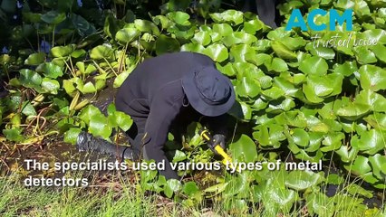 Police divers search Glebe Wetlands for suspected murder weapon