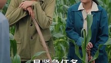 抖音新剧上线#樊楚琦 - 穿成七零硬核娇妻 (下)