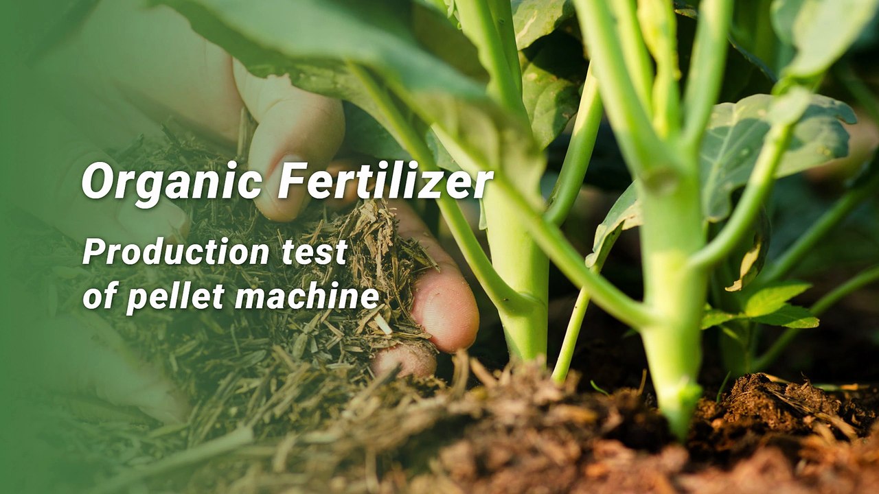 Your Partner for Organic Fertilizer Pellet Production