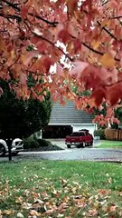 [NEW drama🎀] Did you see it? My sincerity-#shortdrama #lovestory #romance  #cinderella