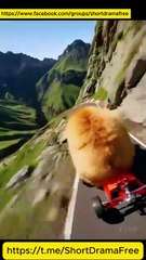 Substitute Bride For The Ceo ShortDrama DRAMA - FULL HD [ENG SUB]