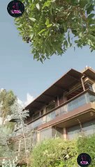 Destinada a mi Alfa Prohibido serie completa en Español