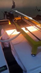 1000w 220v quartz infrared heating lamp 1000W 230v infrared heating lamp