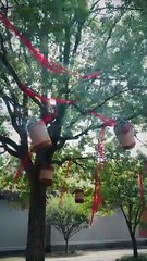 The Hidden Edge of Grace Dramabox #fullmovie