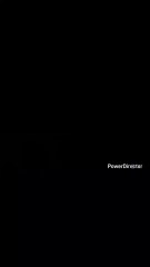 4 Gummy Bear Kummipeas (Estonian) Reversed