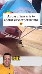 🔬 Desperte o Cientista Mirim! ✨ Experimento Simples que Fascina crianças ! 🤩