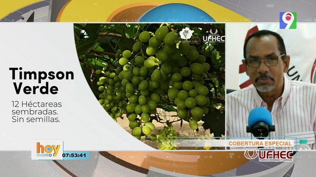 Cobertura Especial desde Producción de Uva de Mesa en el Pajonal | Hoy Mismo