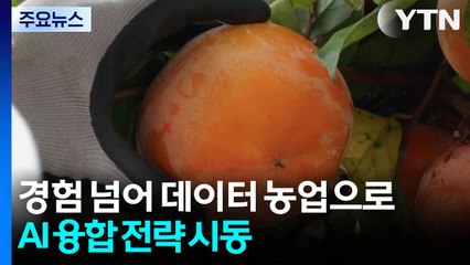 [녹색] 경험 넘어 '데이터 농업'으로...농진청, AI 융합 전략 본격 시동 / YTN