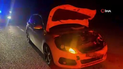 Otomobil yola çıkan danaya çarptı: 2 yaralı