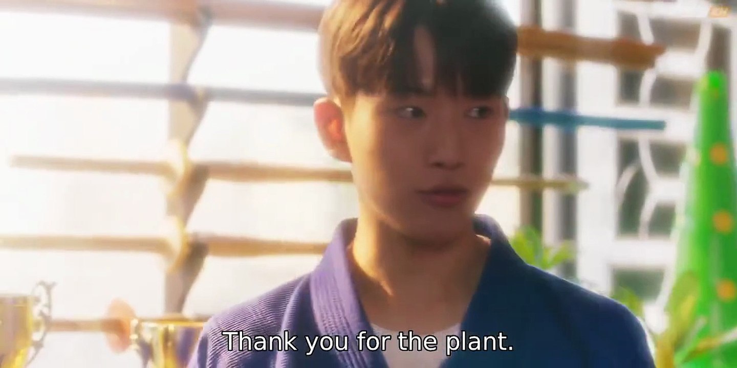 EP5 Peach Blossoms Bloomed