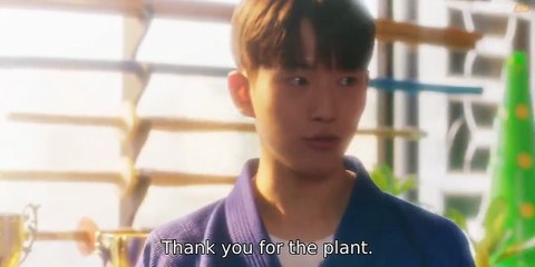 EP5 Peach Blossoms Bloomed