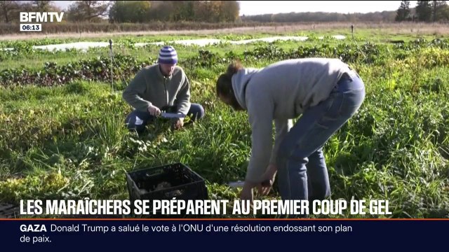 On doit anticiper bien plus tôt la météo : les maraîchers en première ligne face à la vague de froid et au gel