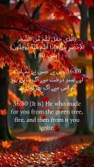 The One who brings fire from living trees can ignite your heart with hope. #SpiritualLight #QuranDaily