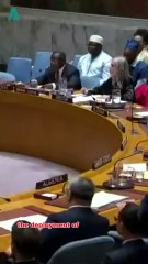 UN Approves Gaza Ceasefire Plan as Hamas Rejects Foreign Stabilization Force