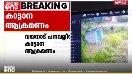 വയനാട്ടിൽ കാട്ടാന ആക്രമണത്തിൽ യുവാവിന് പരിക്ക്