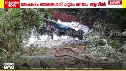 താമരശ്ശേരി ചുരത്തിൽ ലോറി കൊക്കയിലേക്ക് വീണു;  ആളപായമില്ല