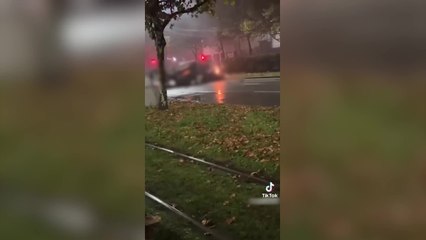 Viale Fulvio Testi, la corsa e le urla: il video che scagiona il 20enne