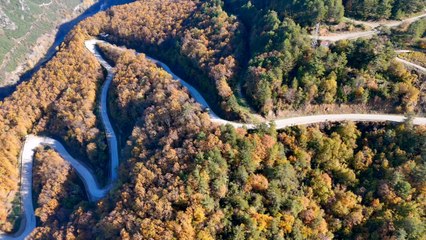 Yenice ormanları sonbaharın vedasını yansıtıyor